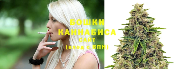 бошки Каменногорск