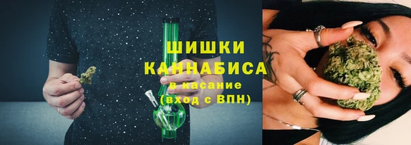 прущие грибы Иннополис