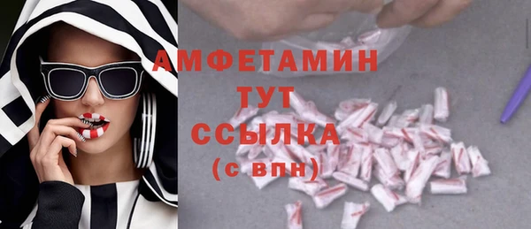 крисы Инсар